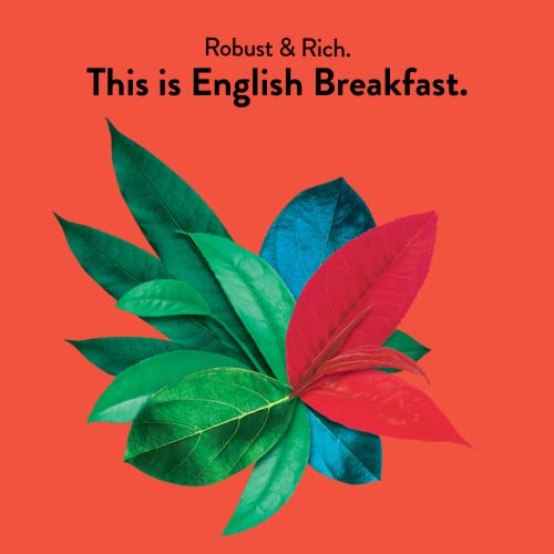 Choice Organics Choice Organics English Breakfast Robust & Rich Black Tea (32 Tea Bags) 2 Box Bundle #TOP1