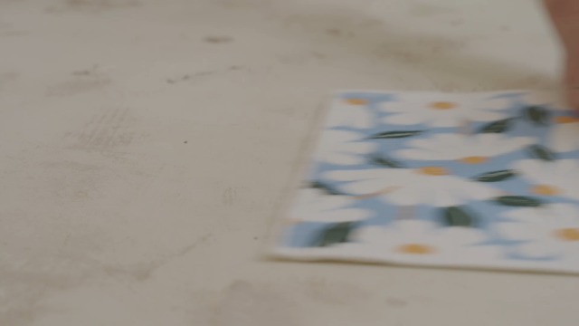 RECYCO Swedish Dishcloths for Kitchen | 6 Pack Farmhouse Friends Washable Dish Rags | Cellulose Reusable Cleaning Paper Towels | Absorbent Counter Dish Cloth Sponge Kitchen Wipes, 8" L x 7" W