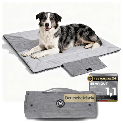 Abby&Ivy tragbare Hundedecke