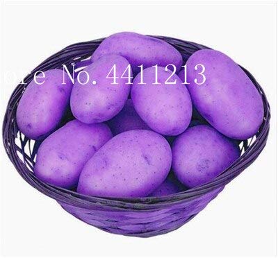 nuovi semi di patate 100 Pz vegetali per giardinaggio Violet
