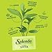 SPLENDA Stevia Zero Calorie Sweetener, Plant Based Sugar Substitute Granulated Powder, 19 oz Jar