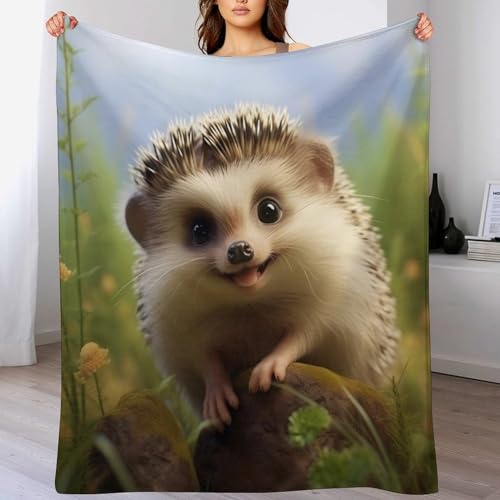 Couverture canapé hérisson chaude et moelleuse contre le froid de l'hiver - 2