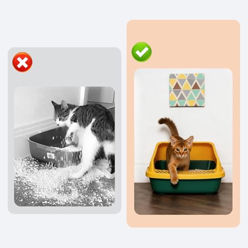 Arenero para gato pequeño con tapa removible color verde y amarillo miniatura 5