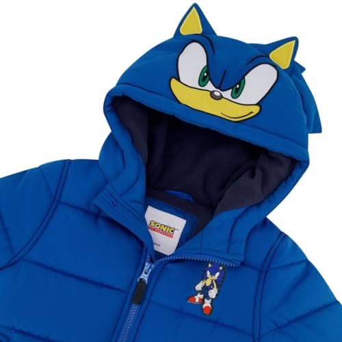 sonic the hedgehog boys heavyweight 2-piece snow bib amp jacket snowsuit