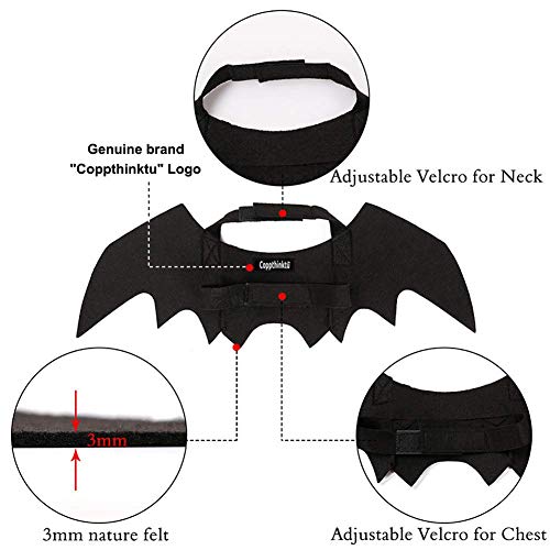 Halloween Pet Bat Wings Cat Dog Bat Costume #TOP4