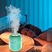 Imagen de Mini humidificador portátil