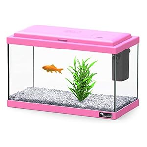 Aquatlantis Aquarium Explorer Madrid Roze