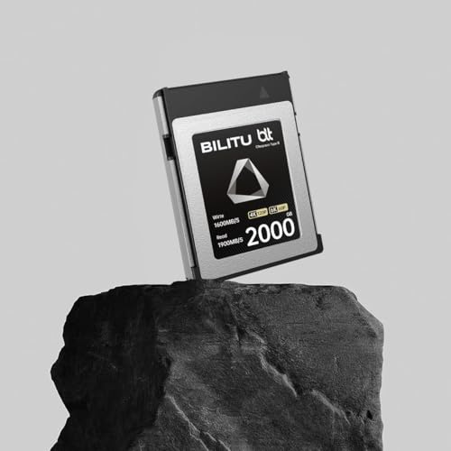 CFexpress B-Type Carte mémoire 256 Go avec vitesse de lecture jusqu'à 1700 Mo/s et vitesse d'écriture 1600 Mo/s Compatible avec les appareils photo Nikon Canon, convient pour l'enregistrement vidéo 4K