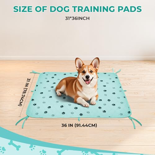 Image of Fostanfly Washable Pee Pads for Dogs, 2 Pack Large 31 inchx36 inch Ultra-Absorbent and Leak-Proof Non-Slip Reusable Potty Training Pads for Dogs, Cats, Puppy, Potty of Add 8 Lanyards, Green