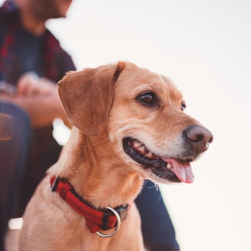 Microbiome Health Across Life Stage Podcast Por  arte de portada