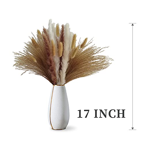 Hocarw 100 Pcs 17 Inch Natural Dried Pampas Grass Decor-Include White And Brown Pampas Grass, Reed,Bunny Tails.boho Home Decor,Farmhouse Party Decor,Wedding Flower Arrangements And Table Decor. #TOP2