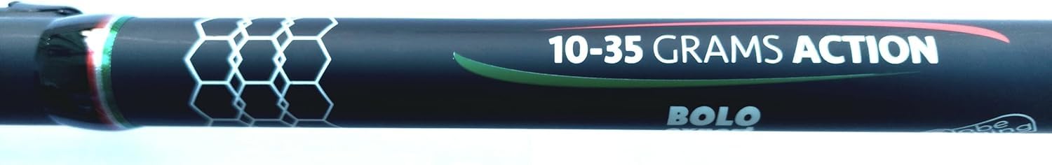 Canna Bolognese Competizione 6 Metri Azione Punta Pesca Mare Spigola Pegaso