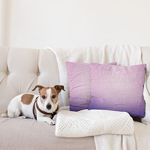 Ambesonne Lavender Decorative Throw Pillow Case Pack Of 2, Pink And Purple Ombre Print Modern Pastel Color Gradient Design Digital Art, Couch Bedroom Living Room Cushion Cover, 16", Lilac #TOP3
