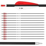 Powants 31inch Carbon Arrow Archery Targeting Practice Hunting Arrows for Compound & Recurve Bow...