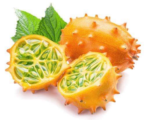 20 Graines De Kiwano (Concombre Cornu D'Afrique) - Fruit Exotique à Cultiver - Plante Grimpante - Cucumis Metuliferus - 11