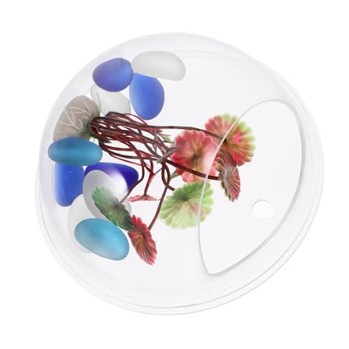 VERDANVERSE Wall Mounted Acrylic Fish Tank Diameter Transparent Hanging Aquarium for Betta Fish and Plants Decor for Home and Office