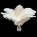 Piokio 20 pcs White Ostrich Feathers Plumes 12-14 inches(30-35 cm) in Bulk for Gatsby Wedding Party Halloween Centerpieces Halloween Decorations