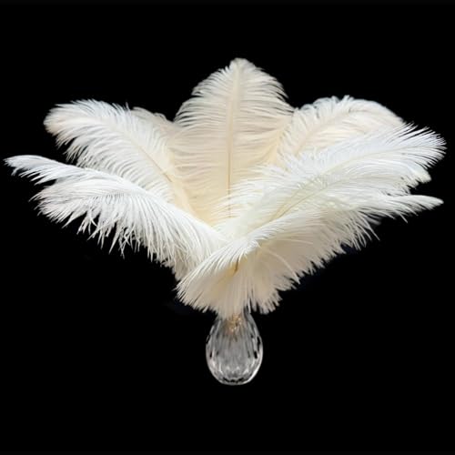 Piokio 20 pcs Natura White Ostrich Feathers Plumes 6-8 inch(15-20 cm) Bulk Wedding Party Centerpieces and DIY Clothes Decoration Gatsby Decorations