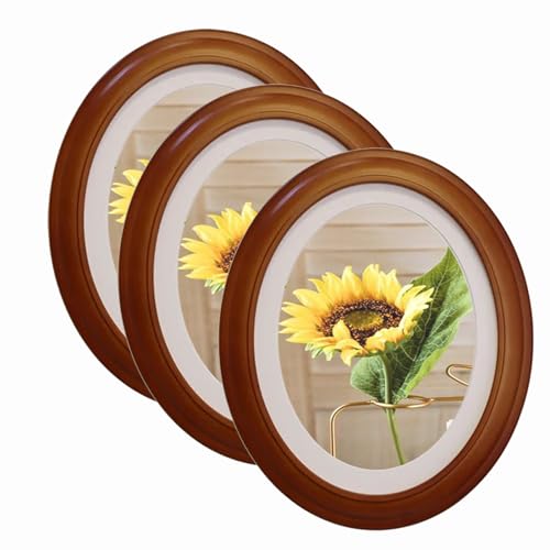 irbaniland 3Pack Frame Picture Photo Oval Wall Frames Hanging Round Home Decoration White Black Decorating Tool Tabletop Vintage (Coffee,8x10)