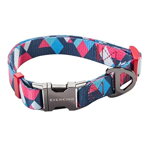 Collier de chien en nylon taille L avec laisse pour chiot et chien de garde