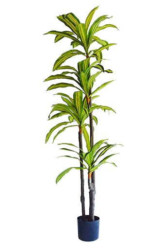 Valyria Home - Drácena Artifi...