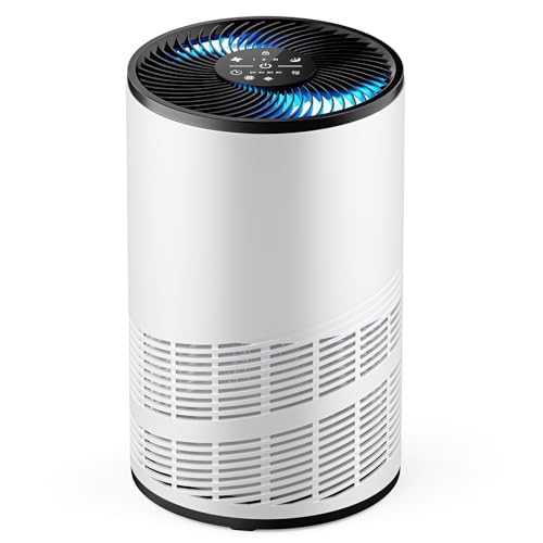 DUMOS Air Purifiers for Home Bedroom with a 3-in-1 HEPA Built-in Filter, Covers up to 1200 ft², True H13 Air Cleaner with Quiet Sleep Mode for Large Room, Removing Odor Smoke Dust Pet Dander