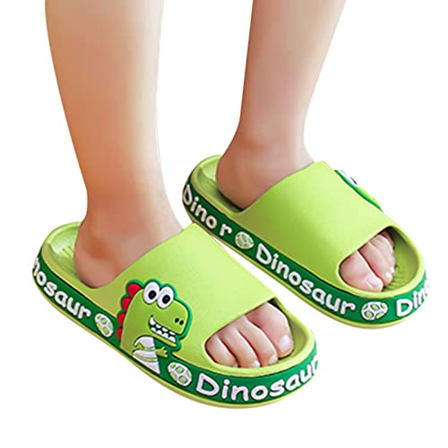 Gaoqi Sapatos para meninas crianças crianças bebês meninos meninas desenho fofo dinossauro antiderra