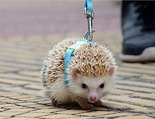 Image of Adjustable Hedgehog Harness for Training Playing Traction Rope Small Animal Pet Outdoor Play (Blue, Fit Small pet)