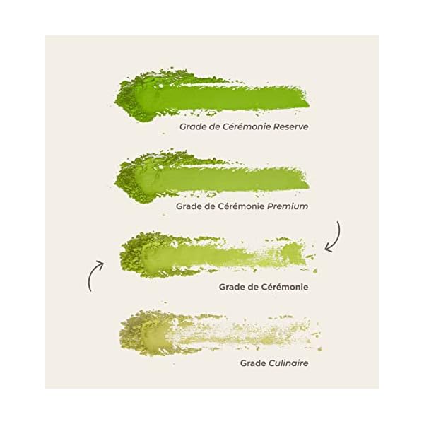 Matcha & CO | Thé Matcha Biologique Original 100% – Qualité Cérémonielle – Sans Pesticides – Poudre de Thé Vert du Japon – 30 g