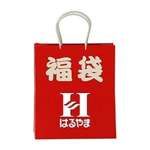 [アイシャツ] 【福袋】2点セット i-Shirt 完全ノーアイロン ストレッチ 超速乾 長袖 ワイシャツ メンズ ノンアイロン D レギュラーフィット ホワイト×ホワイト 2枚セット 2022 首回り39cm裄丈82cm Regular