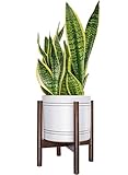 TIMEYARD Mid Century Plant Stand - Best Fits 8in Planter, Wood Indoor Flower Pot Holder, Simple Display Potted Rack, Modern Home Decor (Note: Plant Pot and Plant are not Included)