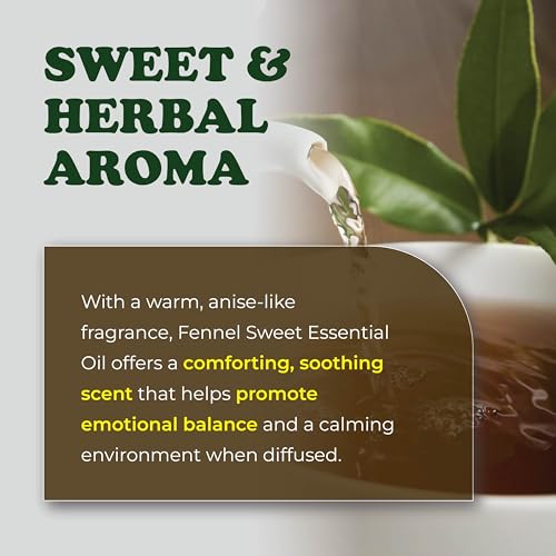 Aceite Esencial de Hinojo Dulce 100% Puro y Natural 8 Fl Oz miniatura 4