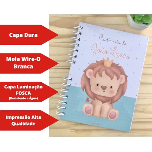 Caderneta de Vacinação Personalizada Versão CLEAN - Com Nome na Capa