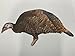 Real-Turkey Silhouette Decoys