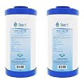 Tier1 20 Micron 10 Inch x 4.5 Inch | 2-Pack Whole House Granular Activated Carbon Block Water Filter Replacement Cartridge | Compatible with Pentek GAC-BB, 155153-43, Home Water Filter
