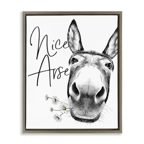Stupell Industries 'Nice Arse Donkey Pun'| Floating Frame Canvas Art