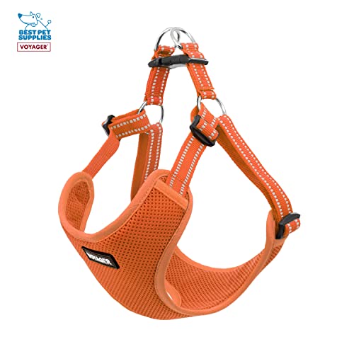 Best Pet Supplies Voyager Adjustable Dog Harness Leash Set including Reflective Stripes for Walking Heavy-Duty Full Body No Pull Vest with Leash D-Ring - Image 4