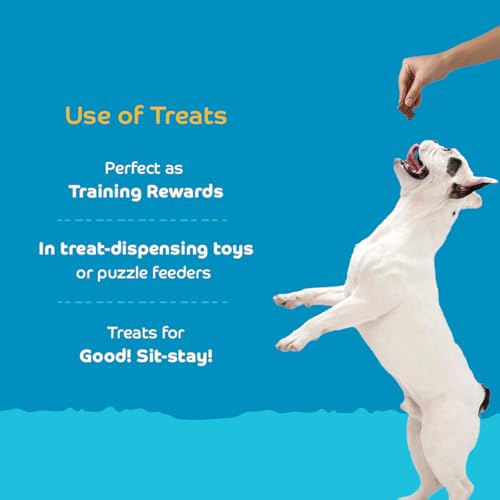 Image of Milk with Collagen Dog Biscuits for Puppies & Adult Dogs | Oven-Baked Crunchy Dog Treats Made with Real Ingredients | Healthy Training & Reward Snacks | 420g