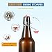 YEBODA 16 oz Amber Glass Beer Bottles for Home Brewing with Flip Caps, Case of 6