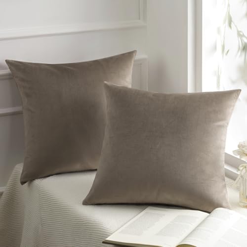 Phantoscope Pack of 2 Velvet Decorative Throw Decorative Pillow C...