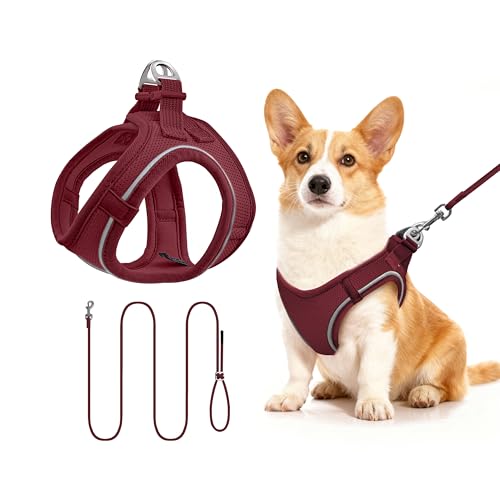 Qianruida Harness and Leash for Cat or Puppy - Adjustable Set in Soft Nylon, Secure Comfort for Walking, Training, Outdoor, Small Animals, Easy to Put On and Take Off, Bordeaux, M