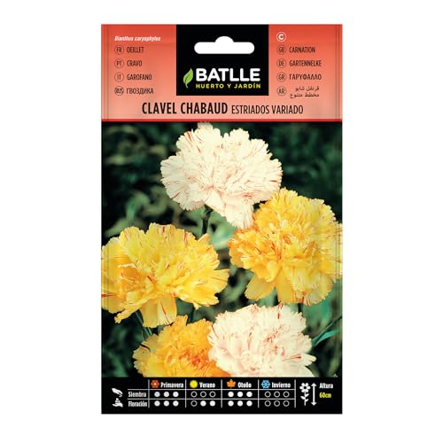 Semillas Batlle Clavel Chabaud ESTRIADOS VDO.