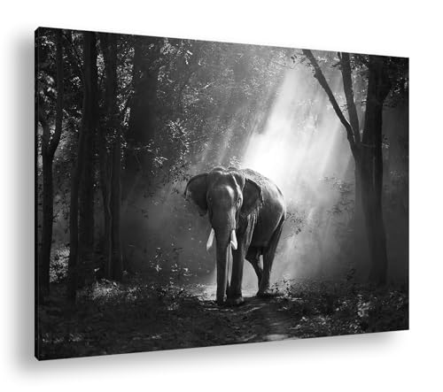 Éléphant fier dans la forêt deyoli : grand tableau noir et blanc 90x60