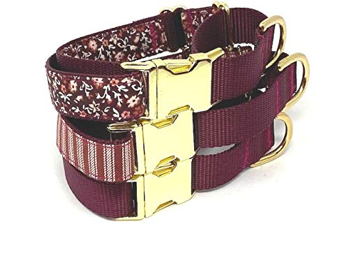 Martingale Dog Collar with Gold Metal Buckle, Burgundy, Maroon, Cream, Tan, Girls, Boys, Fall, Autumn, Thanksgiving (M 1  W X 15-21 , Floral Burgundy)