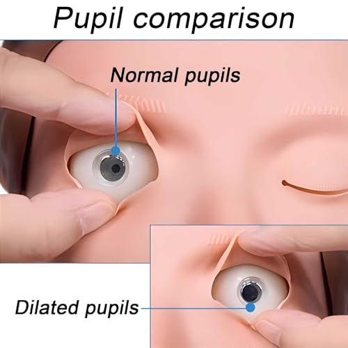 Poupée de réanimation de premiers secours AMITD 160 cm avec sac RPC - 6