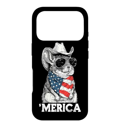 Chinchilla �A�����J���� �o���_�i �J�E�{�[�C�n�b�g �N�[���T���O���X �X�}�z�P�[�X iPhone 17 Pro �p