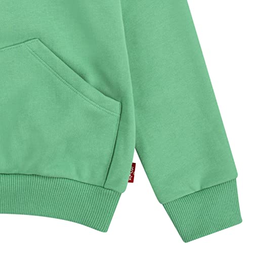 Vêtements Levi' Levi' Square Pocket Hoodie pour Accessoires - vue 5