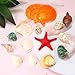 Aunifun 100 pcs Sea Shells Mixed Beach Seashells, Colorful Natural Seashells for Candle Making，Home Decor, Beach Theme Party, DIY Crafts, Fish Tank and Vase Fillers