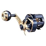 ダイワ(DAIWA) 21 ソルティガIC 100