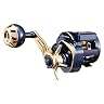 daiwa 21 ソルティガIC 100